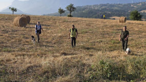 TUTTI INSIEME CON ENTUSIASMO E GRANDE PASSIONE Cacciatori e cani