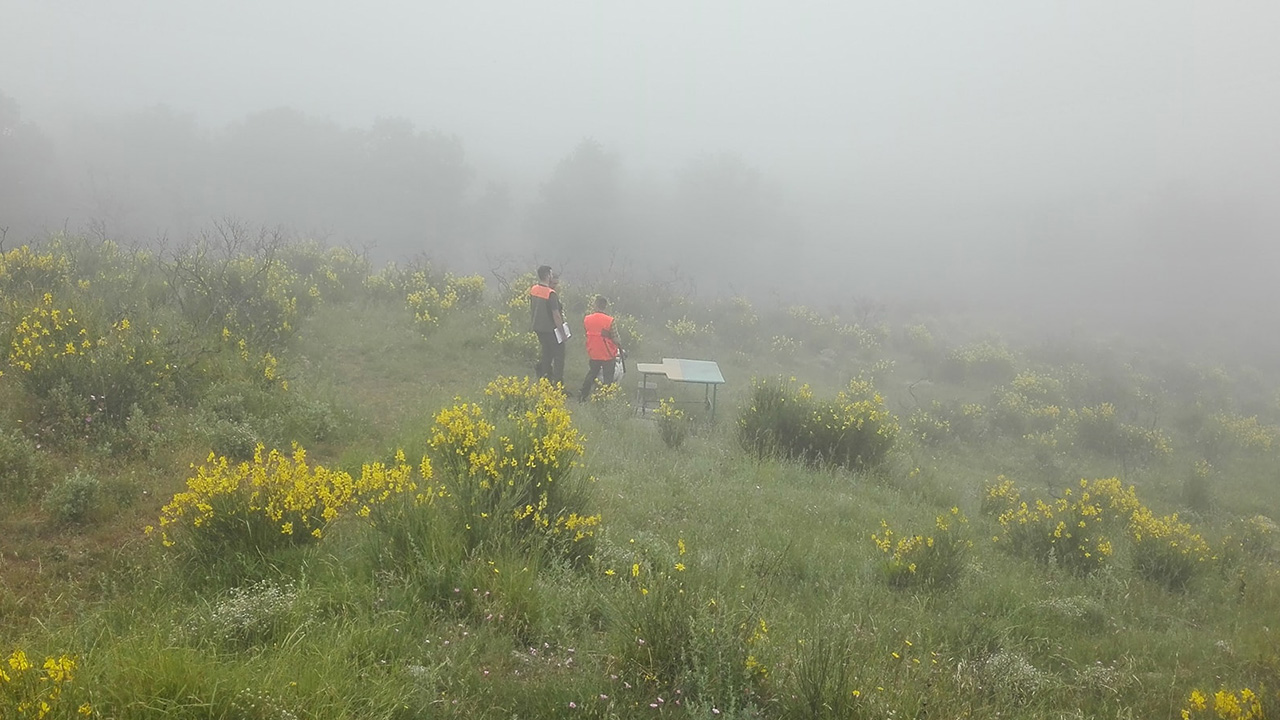 CACCIATORI NELLA NEBBIA