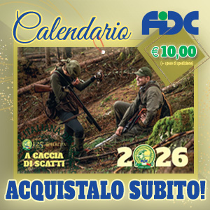 CALENDARIO FIDC 2026