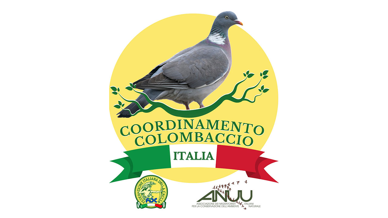 Gestione Coordinamento Colombaccio Italia censimenti