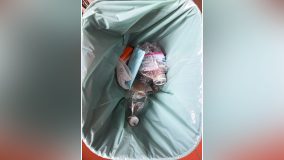 Differenziata Lombardia