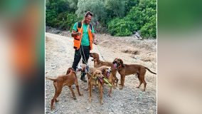 muta segugi italiani