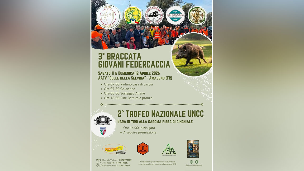 Braccata Giovani FIDC Latina