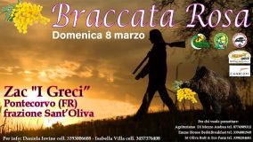 Braccata in rosa 8 marzo