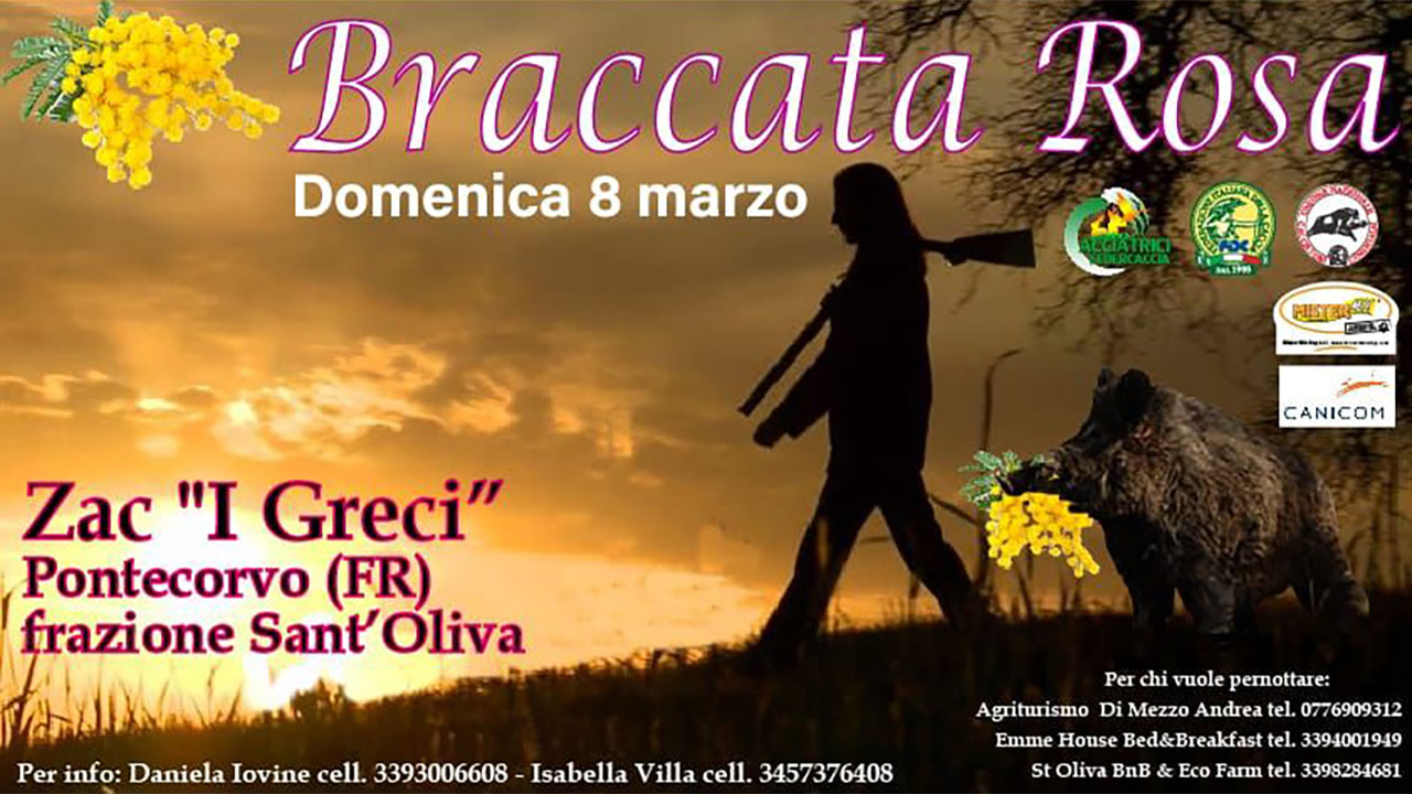 Braccata in rosa 8 marzo