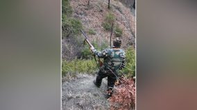 Calo incidenti di caccia