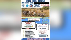 locandina gara cinofila