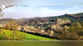 EDIZIONE 2026 DI CITY NATURE CHALLENGE City Nature Challenge 2026