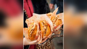 Area cibo selvaggio Caccia Village