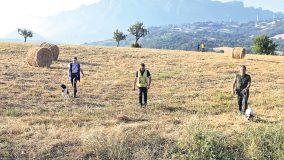 Editoriale Fidasc C&T 4/2026