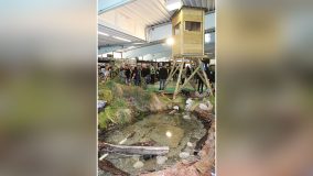 Longarone Fiera 2026