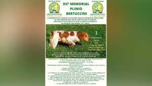 Memorial Plinio Bertuccini