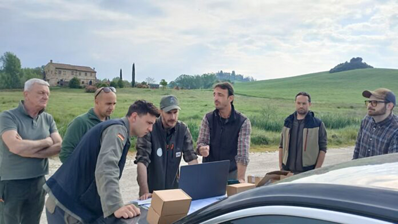 monitoraggio "pam bird"