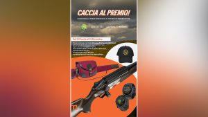 CONCORSO FIDC