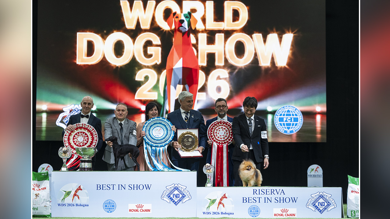 WORLD DOG SHOW 2026