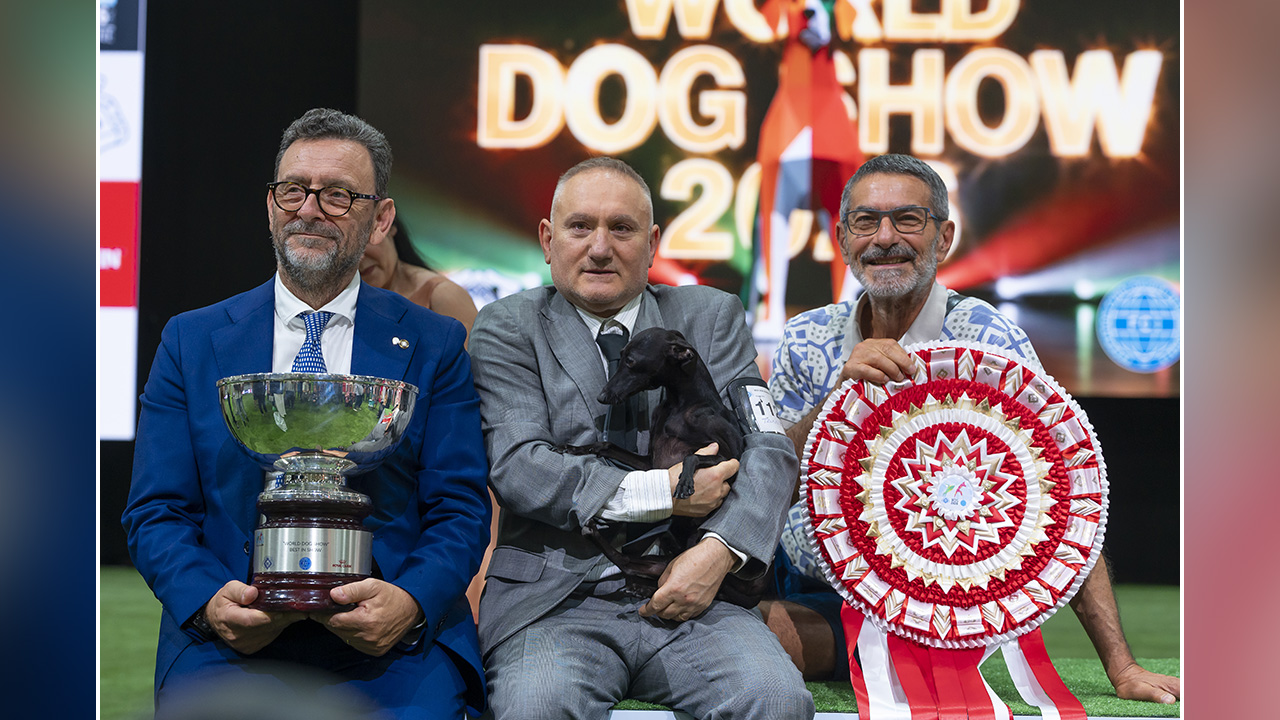 WORLD DOG SHOW 2026