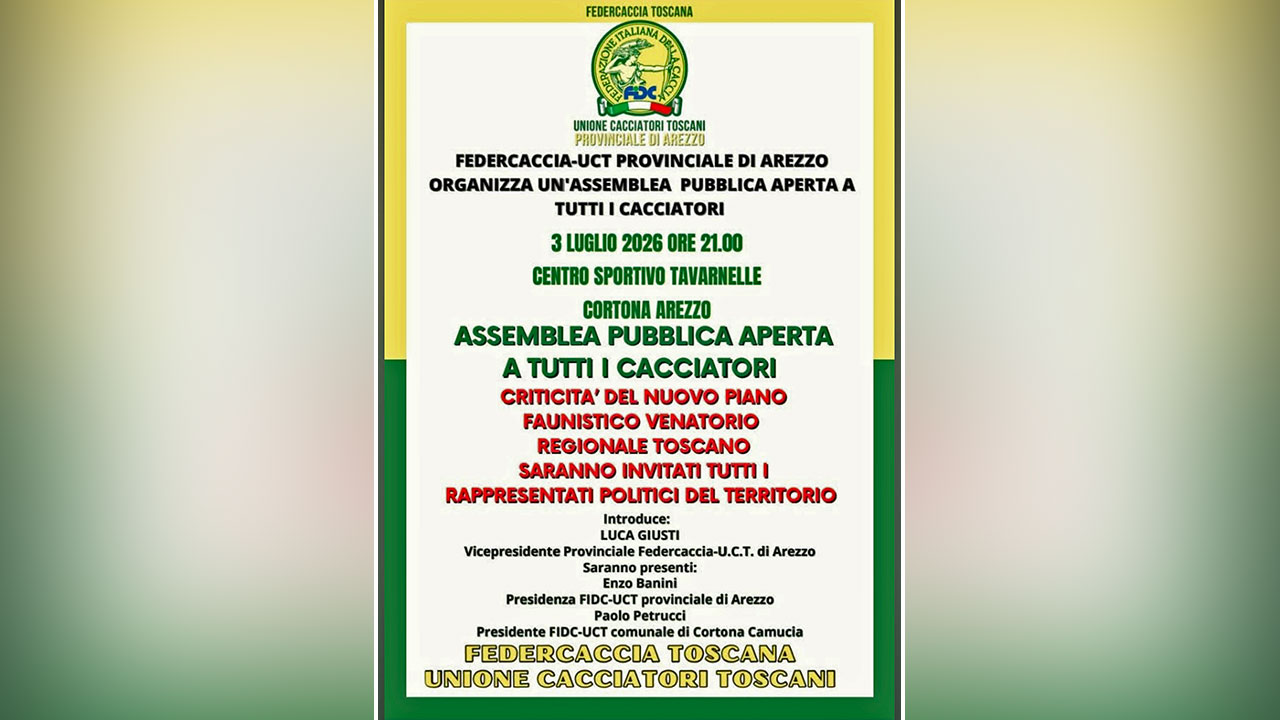 Assemblea Cortona