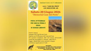 Case del Prete Arezzo