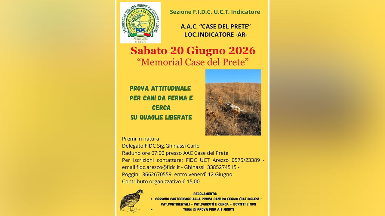 Case del Prete Arezzo