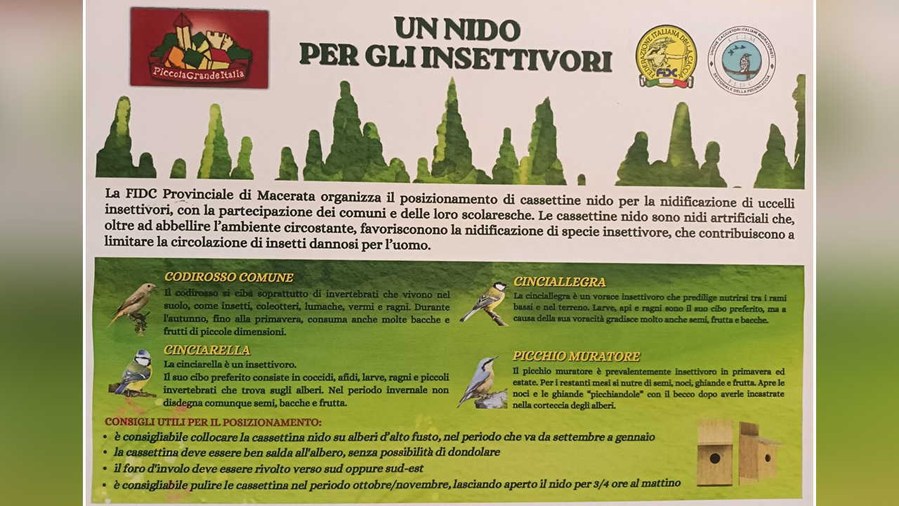 locandina nidi artificiali