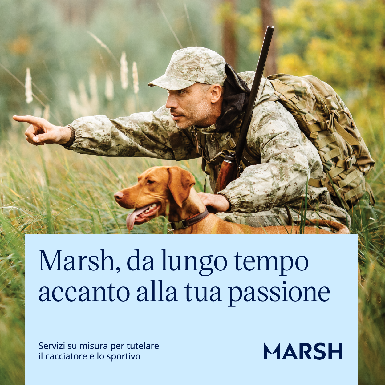 marsh