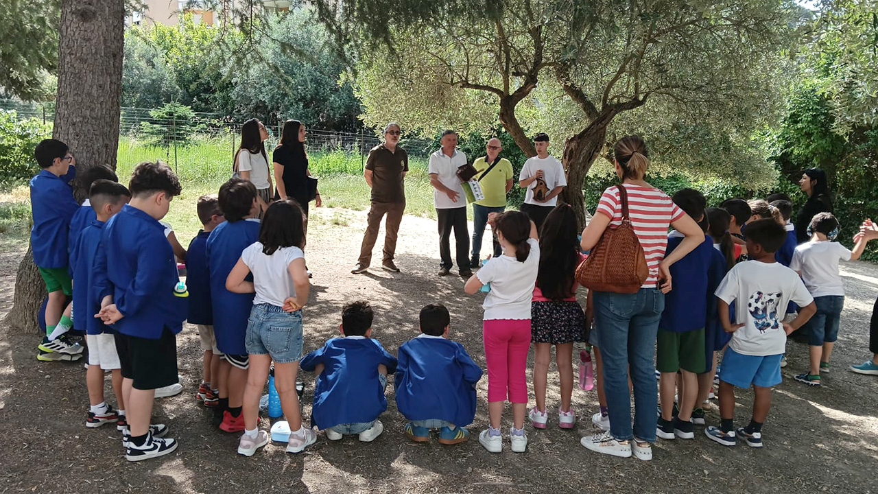 bambini nei boschi