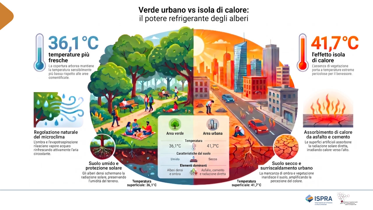 Ispra Isole di calore