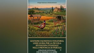 Manuale Perugia