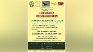 Prova Pantalla