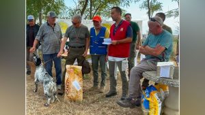 Cinofilia Trofeo Amici Federcacciatori Arezzo