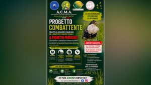 Progetto combattente ACMA