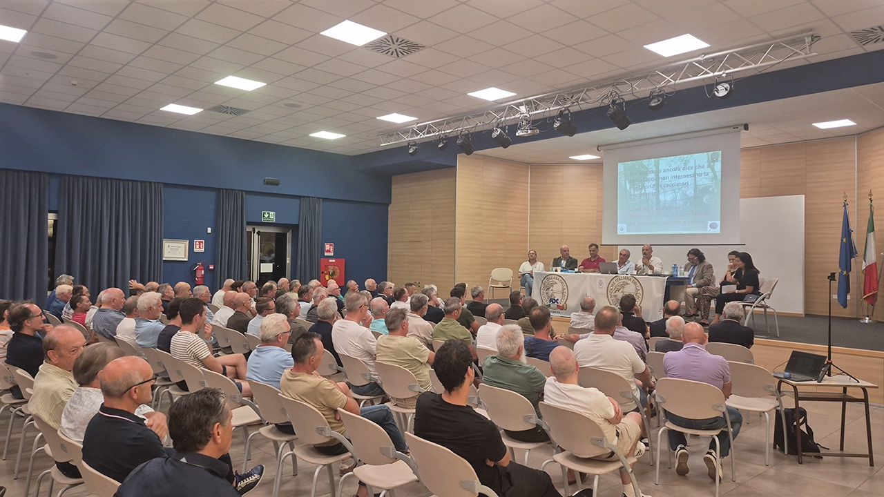 platea