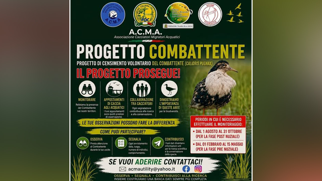 ACMA
