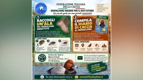 FEDERCACCIA E ACMA INSIEME PER IL FUTURO DEL MORIGLIONE ACMA