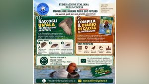 ACMA