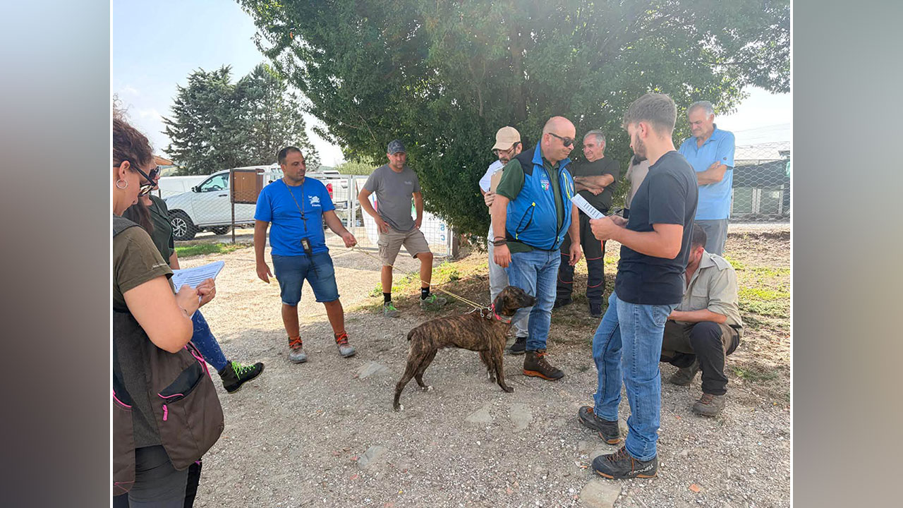 Corso direttori di gara alto livello cinghiale Fidasc