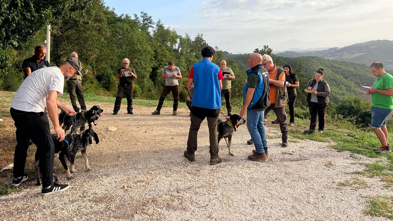 Corso direttori di gara alto livello cinghiale Fidasc