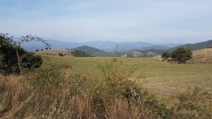 panorama