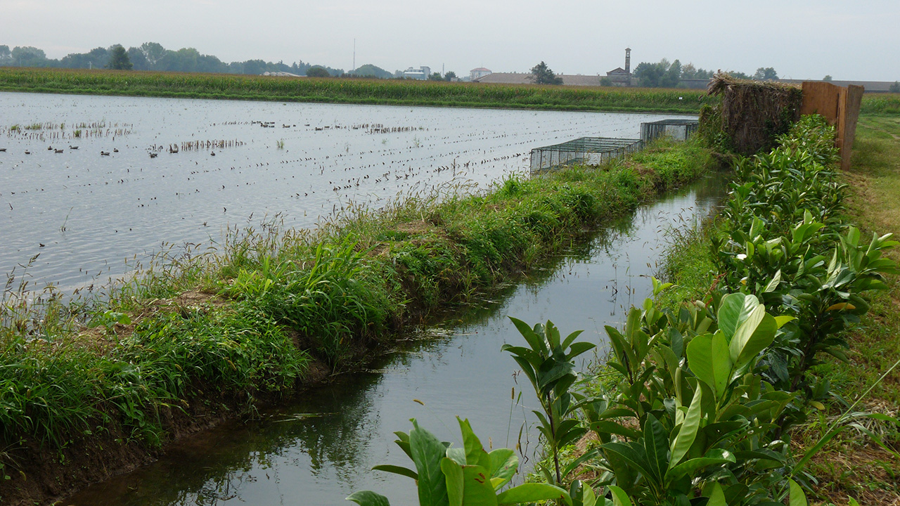 BIODIVERSITA'