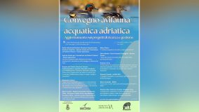 A ROVIGO IL CONVEGNO SULLO STATO DI SALUTE DELL’AVIFAUNA ACQUATICA DELL’ALTO ADRIATICO Convegno Avifauna acquatica adriatica