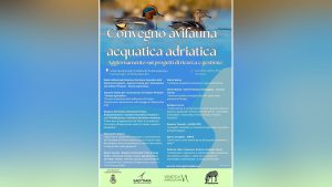 Convegno Avifauna acquatica adriatica