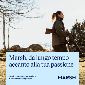 Marsh